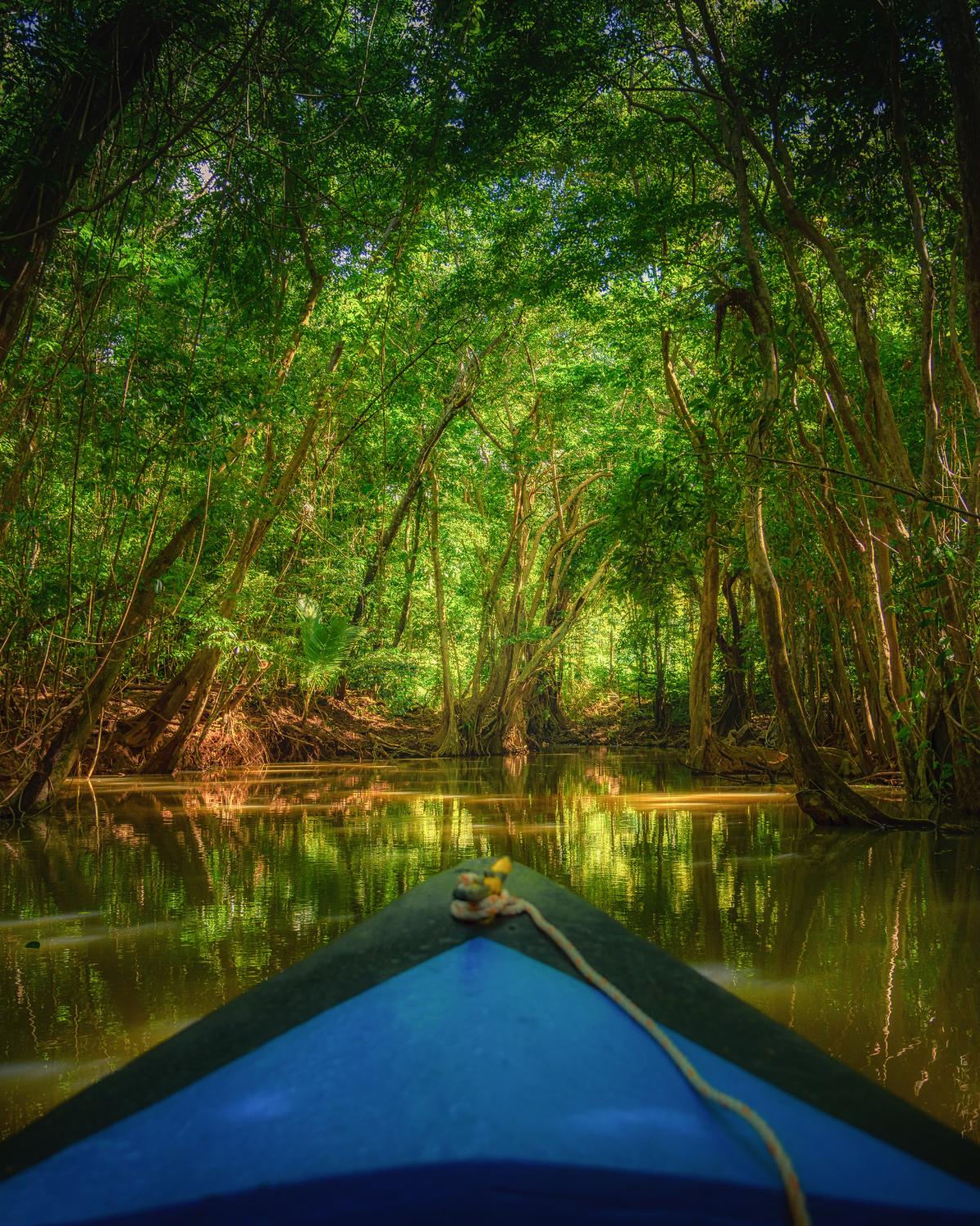 Dominica People and Culture - Boat