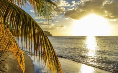 Discovering the 5 Best Secluded Beaches in Dominica