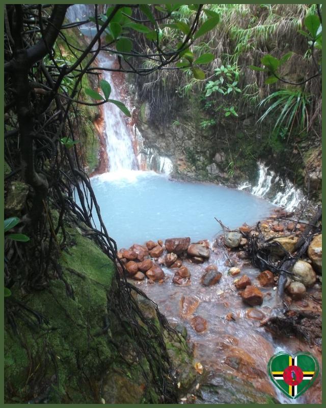 Discover Dominica - Hot Springs