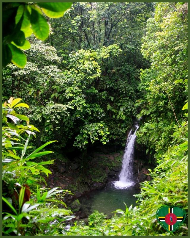 Dominica Experiences and Things to do - Emerald Pool