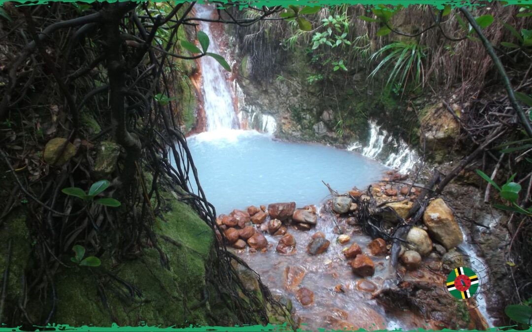 Ultimate Guide to the Best Hot Springs in Dominica